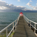 BIWAKOビエンナーレ2025を観てきた～長命寺エリア・沖島エリア編