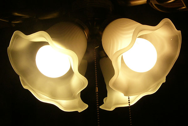 LEDと白熱電球の比較2