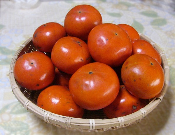 収穫した柿